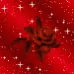 Rose Sparkle GIF - Rose Sparkle GIFs