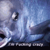 a fish with its mouth open and the words `` i 'm fucking crazy '' written below it .