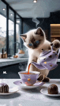 a kitten is pouring tea from a teapot into a cup .