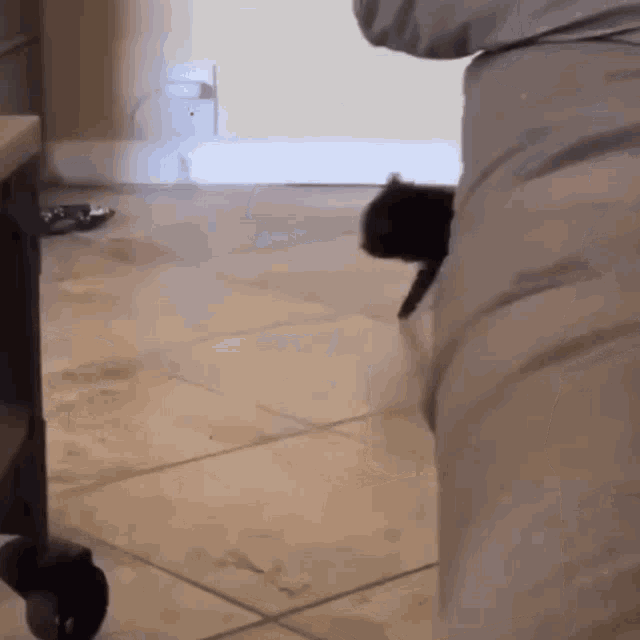a black cat is standing on a tiled floor next to a person .