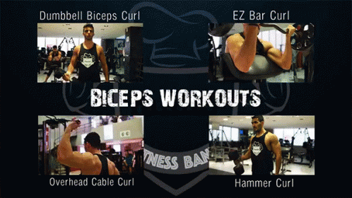 Fatnasa | Biceps Workout,تمرينات,تمرين ظهر,تمارين لعضلات الظهر GIF - Fatnasa Ftnasa GIFs