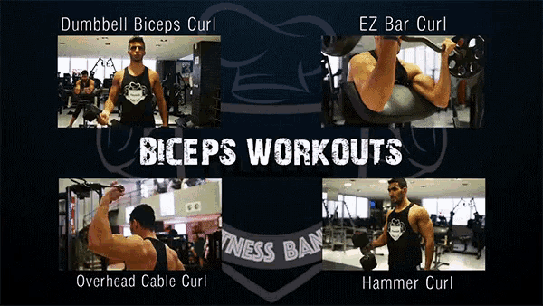 a poster for bicep workouts includes dumbbell biceps curl ez bar curl and overhead cable curl