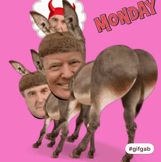 a donkey with a man 's face on its back and the word monday written above it
