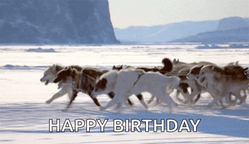 a happy birthday greeting card with a herd of huskies