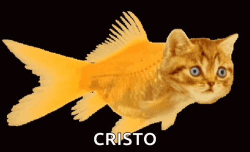 a cat that looks like a fish with the word cristo written below it