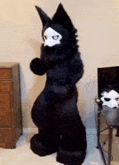 a person in a black furry costume is standing next to a dresser .