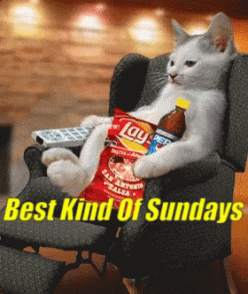 Best Kind Of Sundays Cat GIF - Best Kind Of Sundays Cat Lazy Sundays GIFs