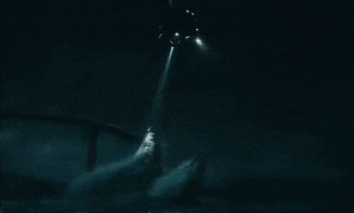 a helicopter is flying over a dinosaur in the ocean .