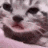 a close up of a cat 's face with a panda mask on it .
