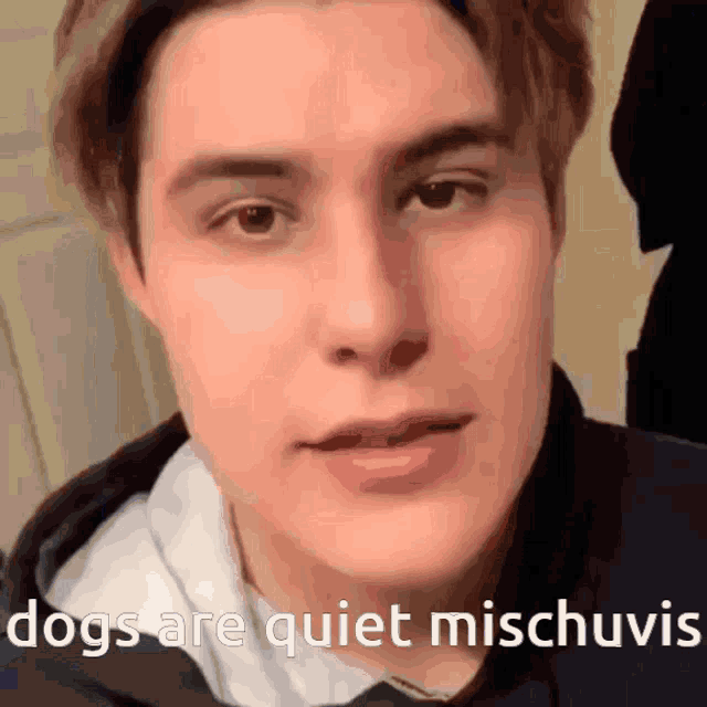 a close up of a man 's face with the words " dogs are quiet mischuvis " below him