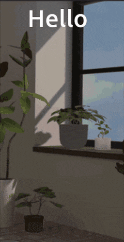 a picture of a window with a plant and the words hello above it