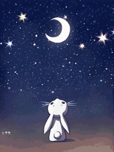a white rabbit looking up at the moon and stars