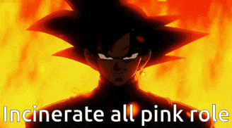 a picture of a person with the words " incinerate all pink role " on it