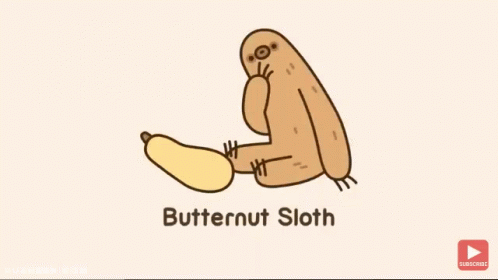 Butternut Sloth GIF - Butternut Sloth GIFs