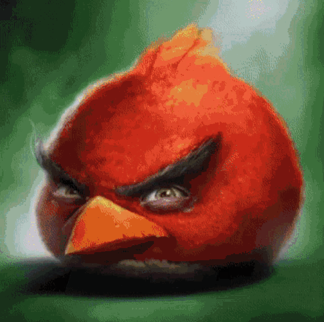 Angry Birds Real Angry GIF - Angry Birds Real Angry Birds Angry GIFs