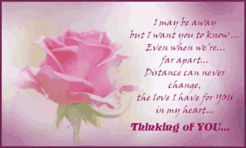 a greeting card with a pink rose and a quote that says " thinking of you "