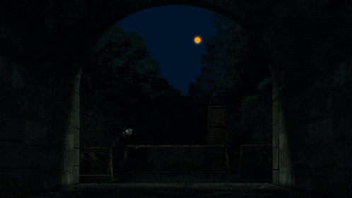 a light shines through a dark tunnel with trees in the background