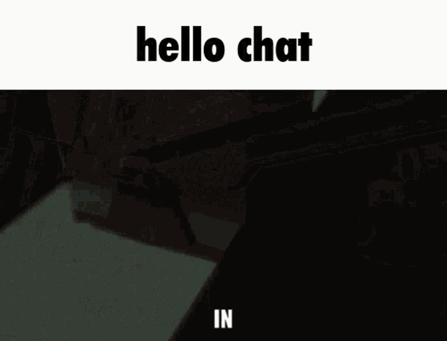 Hello Chat Hello GIF