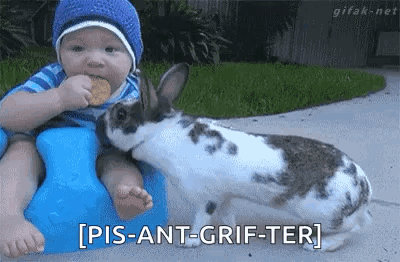Thief Rabbit GIF - Thief Rabbit Baby GIFs