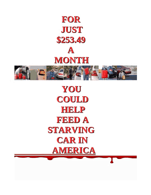 a poster that reads for just $ 253.49 a month you could help feed a starving car in america
