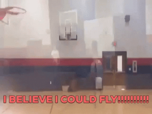 I Believe I Could Fly Basketball GIF - I Believe I Could Fly Basketball Fail GIFs