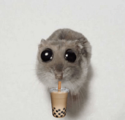 Boba Mouse GIF - Boba Mouse GIFs