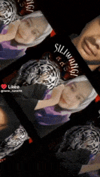 a picture of a girl with a tiger and the word likee