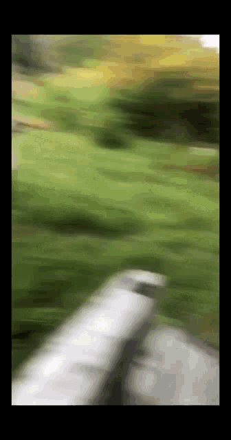 a blurry picture of a grassy field with a few trees in the background