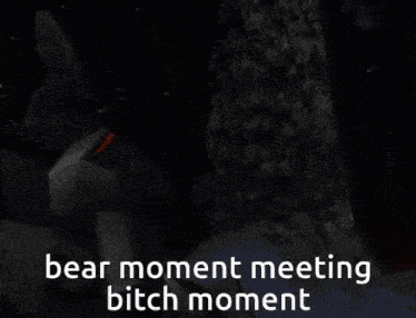 a picture of a robot in front of a full moon with the words bear moment meeting bitch moment below it