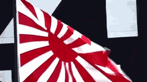 a red white and black flag with a circle in the center
