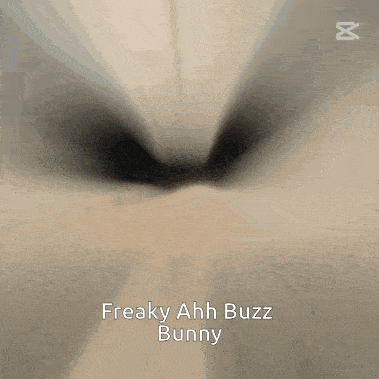 a stuffed bunny named freaky ahh buzz bunny is in a glass
