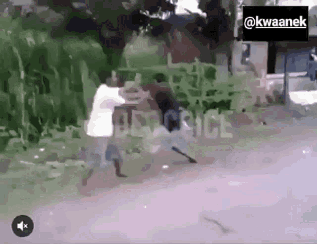 Fight Man Throw GIF - Fight Man Throw Two Men Fighting GIFs
