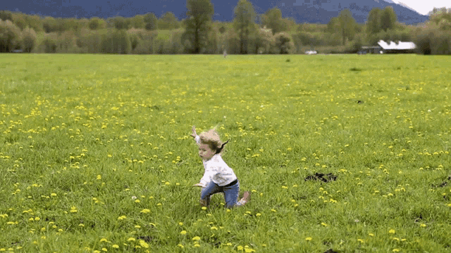 a little girl crawling in a field of dandelions