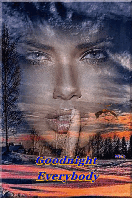 a picture of a woman 's face with the words goodnight everybody below it