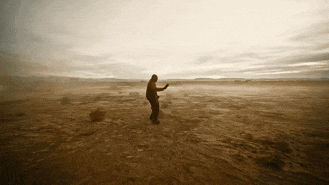a person standing in the middle of a desert looking at something