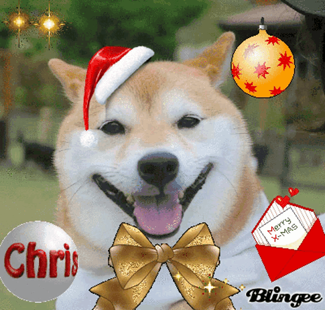a dog wearing a santa hat and a merry xmas card