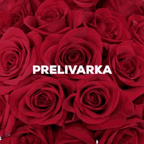 a bunch of red roses with the words ' prelivarka ' on the bottom right