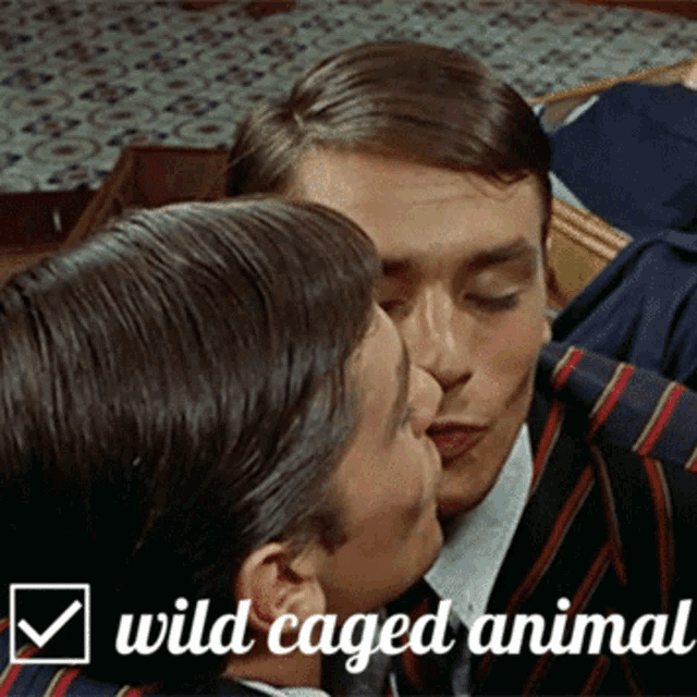 a man kissing another man with the words wild caged animal below