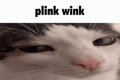 Plink Wink GIF - Plink Wink Plink Wink GIFs
