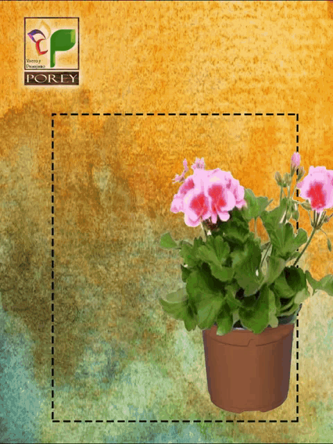 a potted plant with pink and red flowers and a porey logo