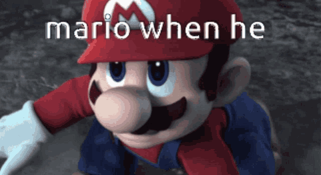 a picture of mario with the words " mario when he " below him