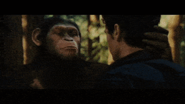 a man and a monkey look at each other