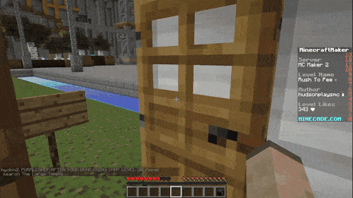 a screenshot of a minecraft game showing a door