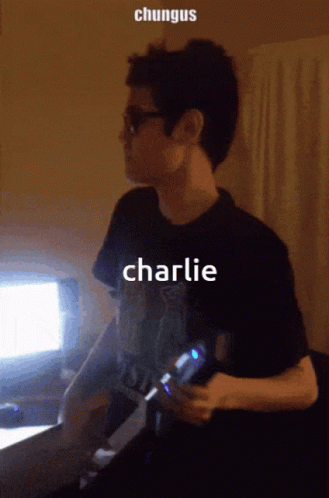 Charlie Chungus GIF - Charlie Chungus Gfuel GIFs