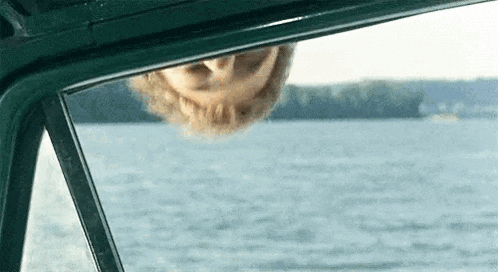 a woman is looking out of a car window at the water .
