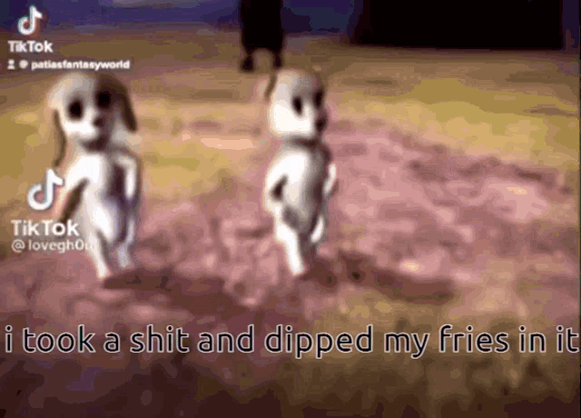 a tiktok video of two ghosts with the caption " i took a shit and dipped my fries into it "