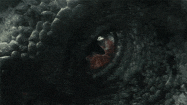 a close up of a dragon 's eye with red blood