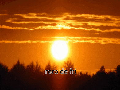 a sunset with the words " rora de fri " below it