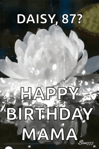 a black and white photo of a flower with the caption " daisy , 87 ? happy birthday mama "