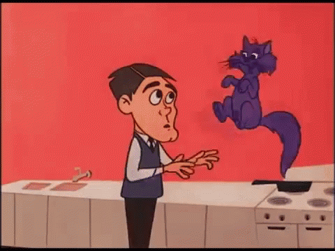 Bewitched Cats GIF - Bewitched Cats Nosetwitch GIFs